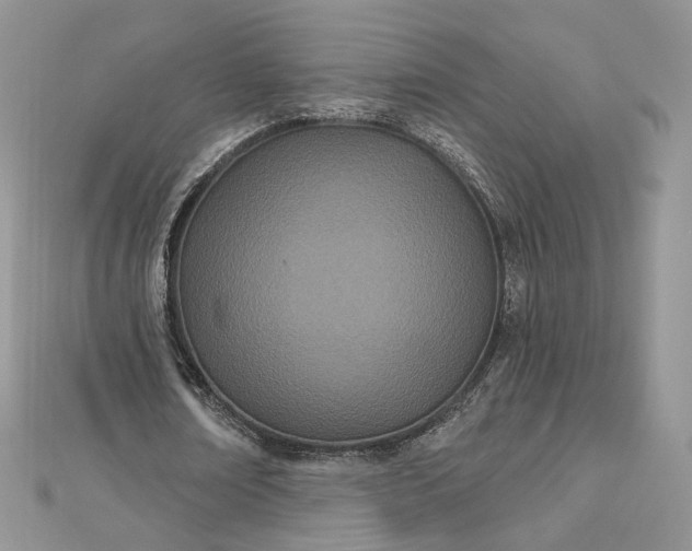 X0000112480674200908311411