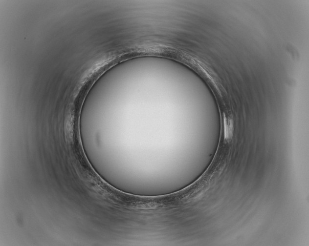 X0000112480675200908311411