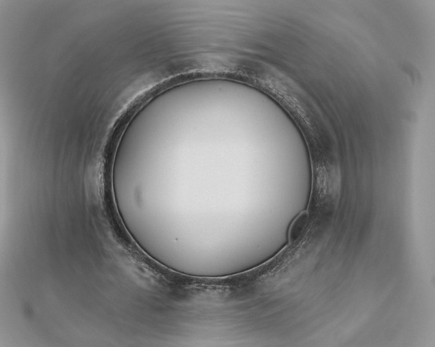 X0000112480676200908311411