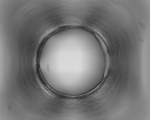 X0000112480677200908311411