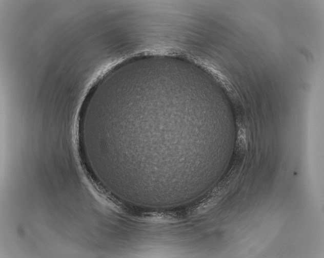 X0000112480678200908311411