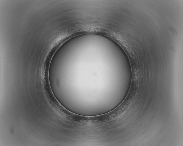 X0000112480679200908311411