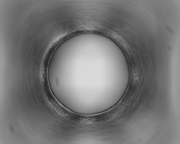 X0000112480680200908311411