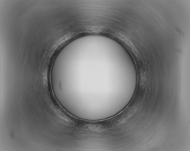 X0000112480681200908311411