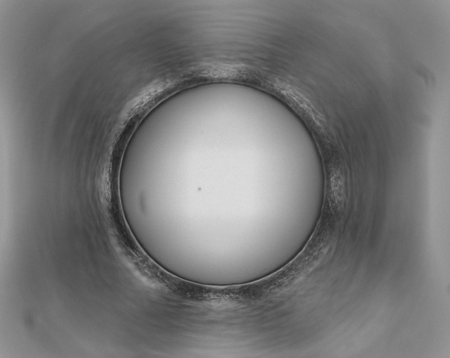 X0000112480682200908311411