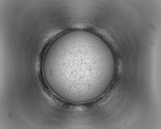 X0000112480683200908311411