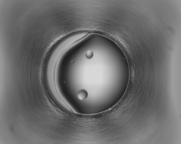 X0000112480684200908311411