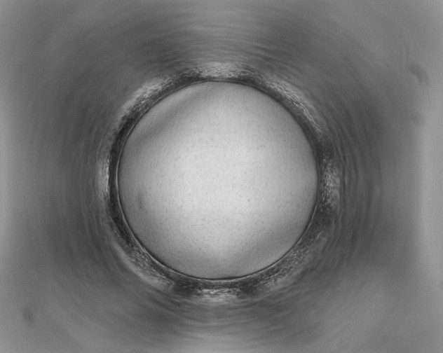 X0000112480686200908311411