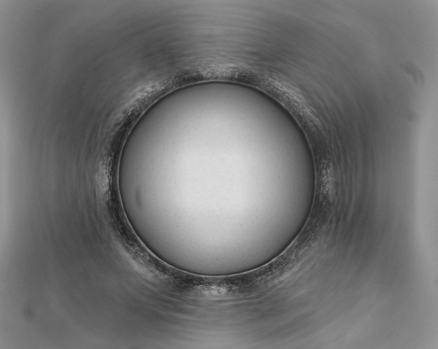 X0000112480687200908311411