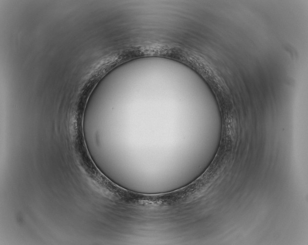 X0000112480690200908311411