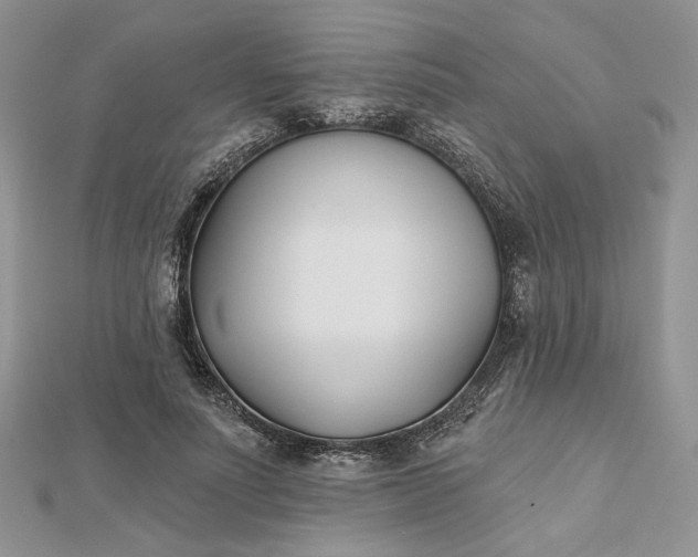 X0000112480691200908311411