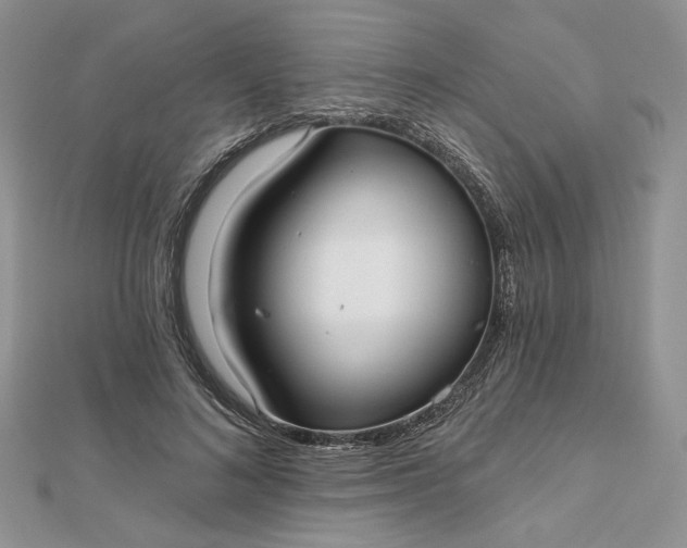 X0000112480692200908311411