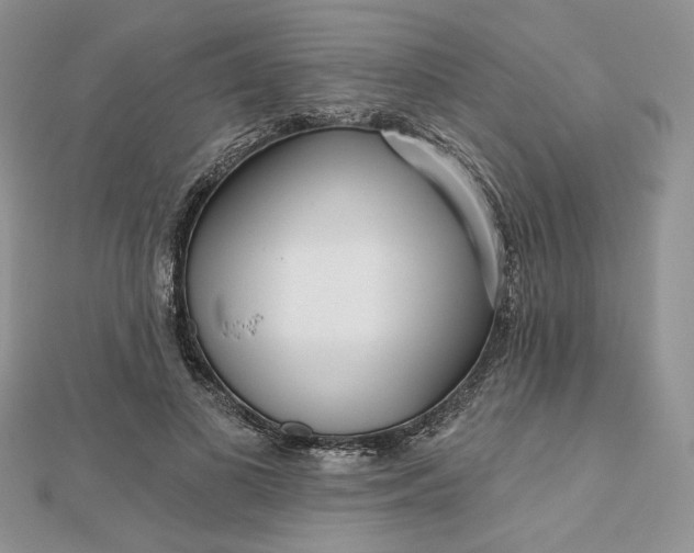 X0000112480693200908311411