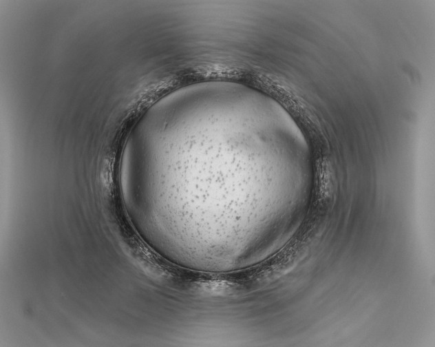 X0000112480695200908311411