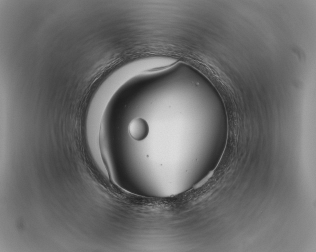 X0000112480696200908311411