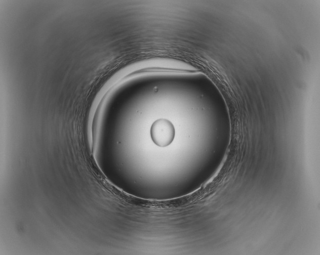 X0000112480697200908311411