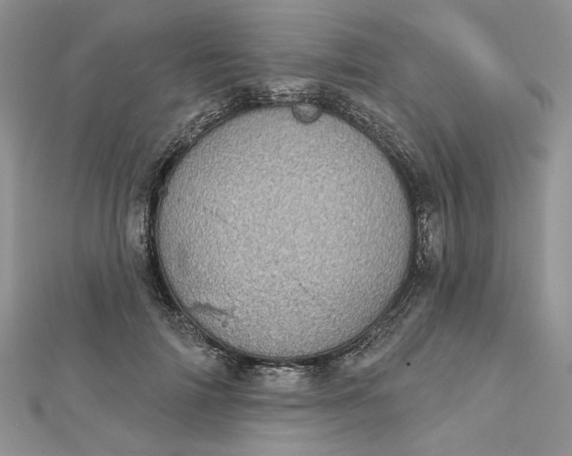 X0000112480698200908311411