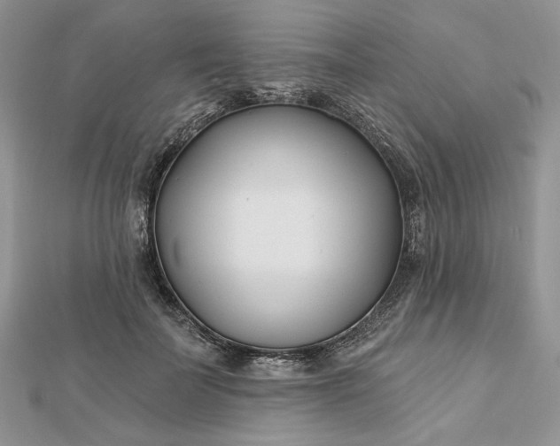 X0000112480699200908311411