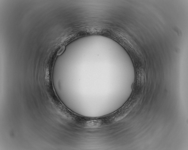 X0000112480700200908311411