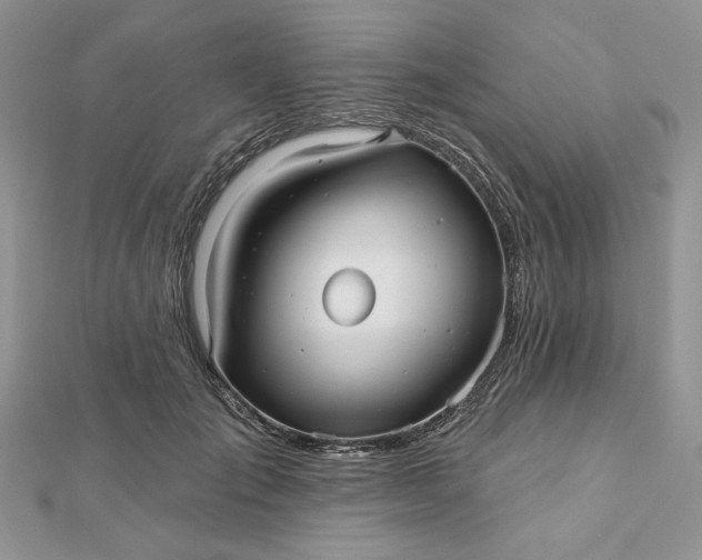 X0000112480701200908311411