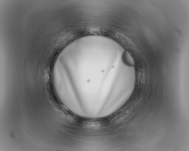 X0000112480702200908311411