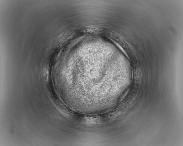 X0000112480703200908311411