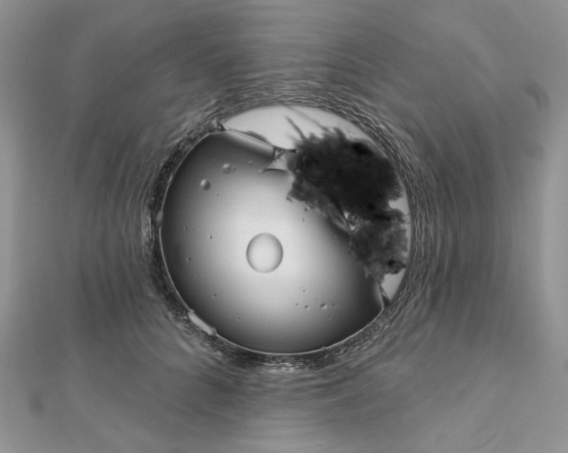 X0000112480704200908311411