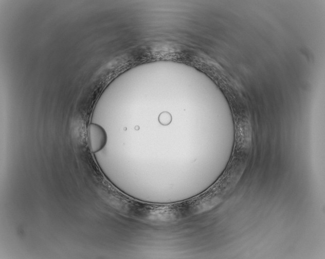 X0000112480705200908311411