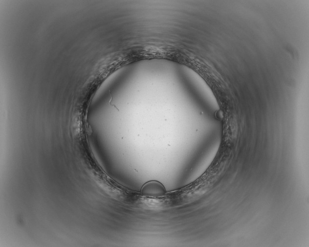 X0000112480706200908311411