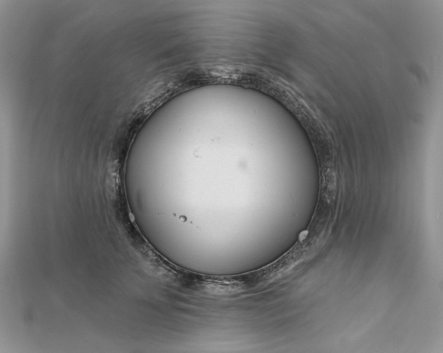 X0000112480707200908311411