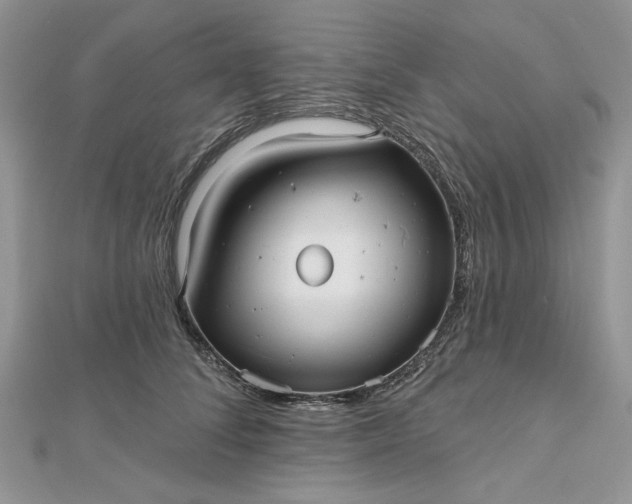 X0000112480708200908311411