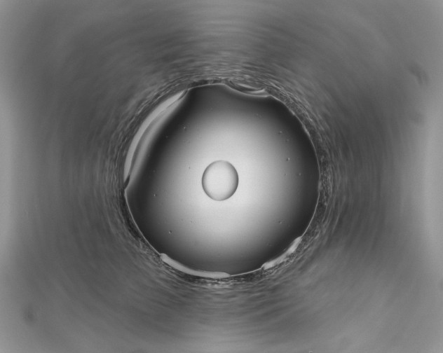 X0000112480709200908311411