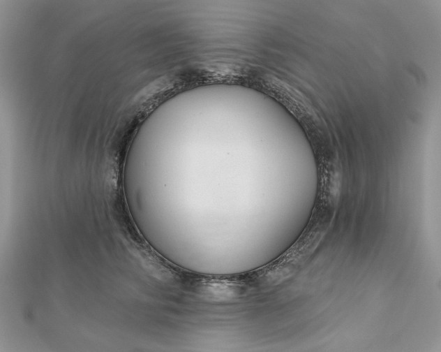 X0000112480710200908311411