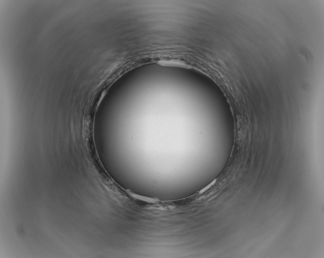 X0000112480712200908311411