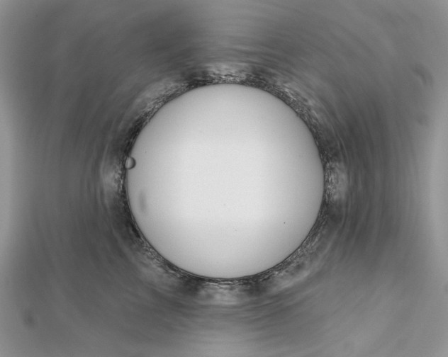 X0000112480713200908311411