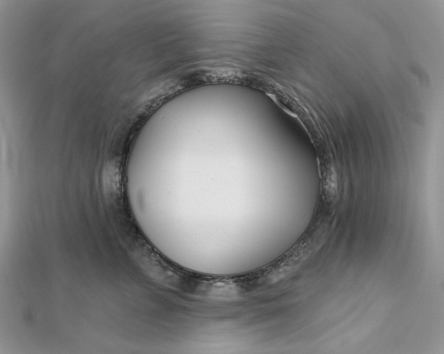 X0000112480715200908311411