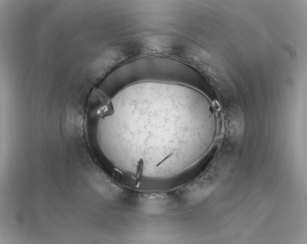 X0000112480716200908311411