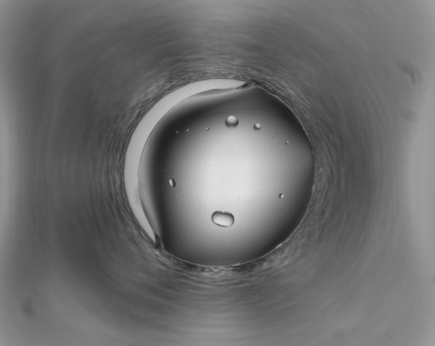 X0000112480720200908311411