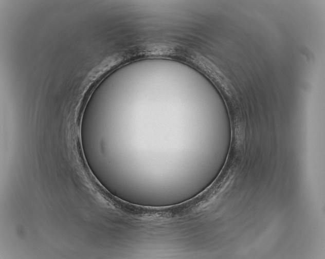 X0000112480721200908311410