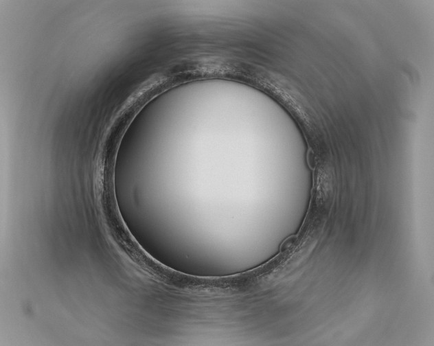 X0000112480722200908311410