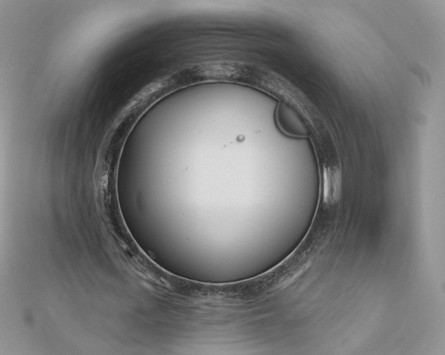 X0000112480723200908311410