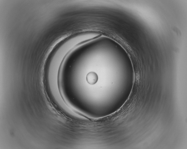 X0000112480724200908311410