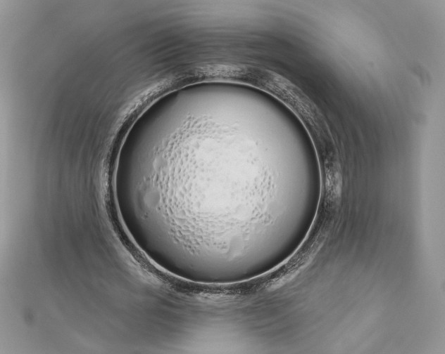 X0000112480725200908311410