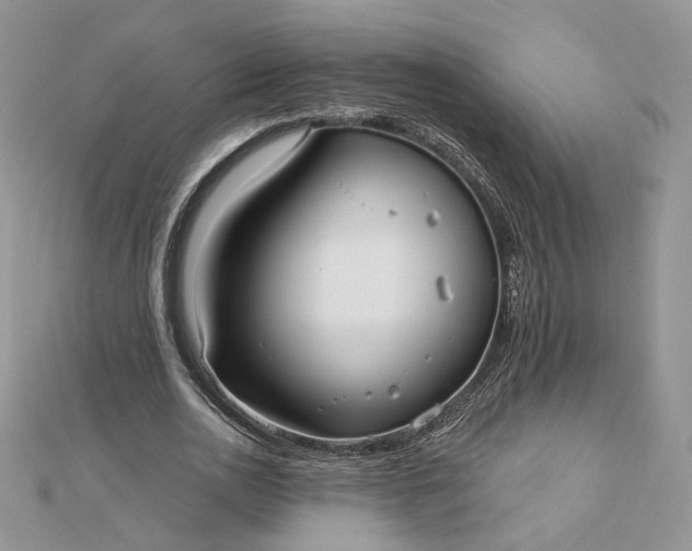 X0000112480726200908311410