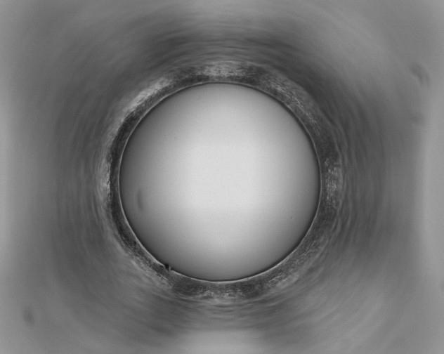 X0000112480727200908311410