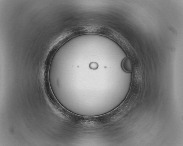 X0000112480730200908311410