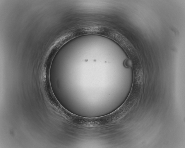 X0000112480731200908311410