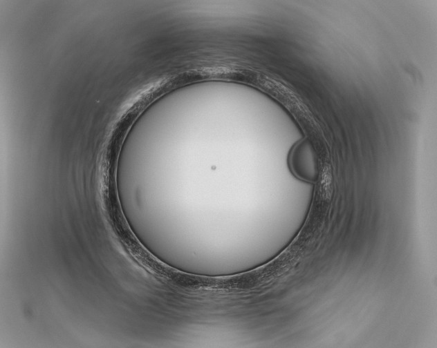 X0000112480732200908311410