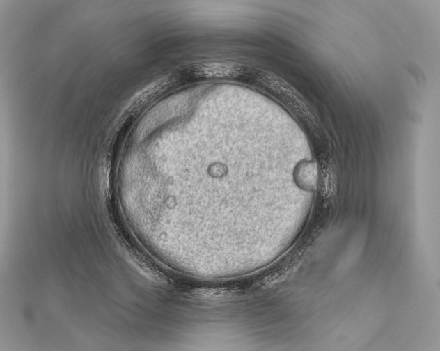 X0000112480733200908311410