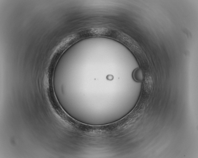 X0000112480734200908311410